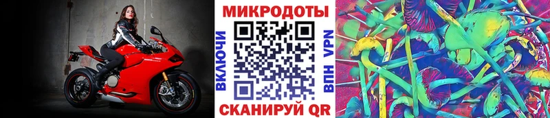 Псилоцибиновые грибы мухоморы  гидра ТОР  Покров  купить закладку 