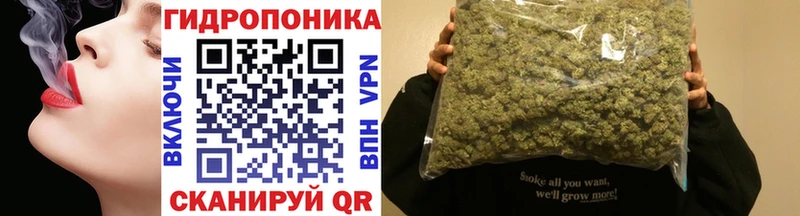 площадка наркотические препараты  Покров  Шишки марихуана Ganja  наркошоп 